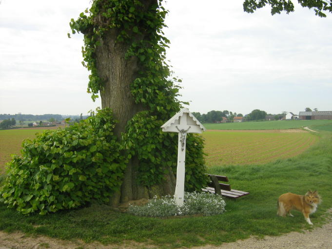 img_2875_3_1.jpg