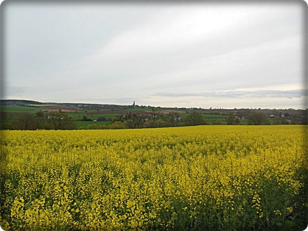 DSCN1395