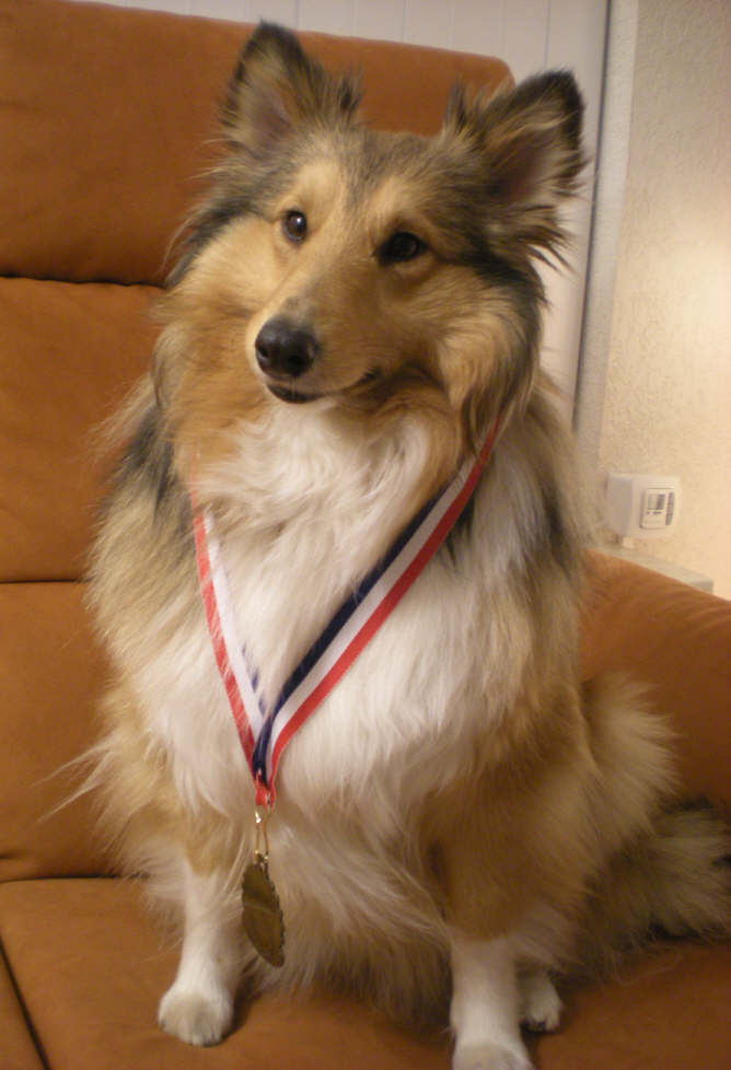 img20090201_8.jpg
