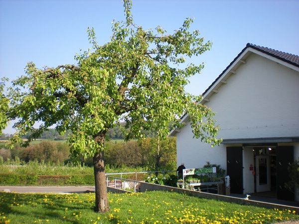 4-21 005