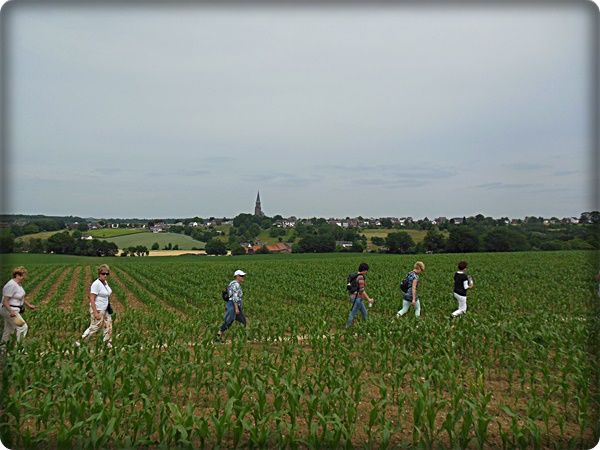 DSCN1746