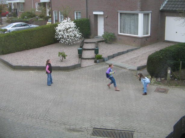 IMG_3484_2_1.jpg