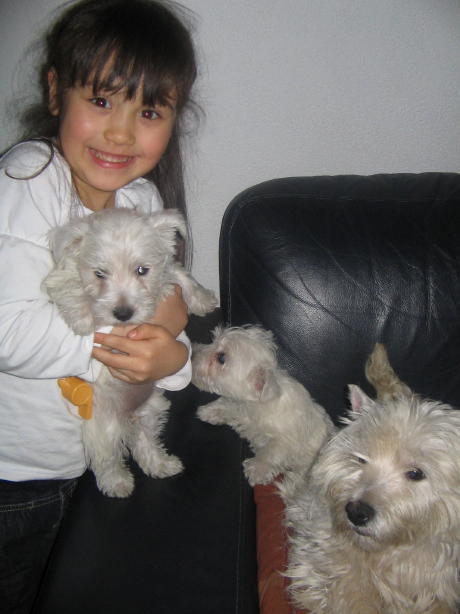 img20090127_8.jpg