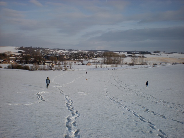 img20100201_8.jpg