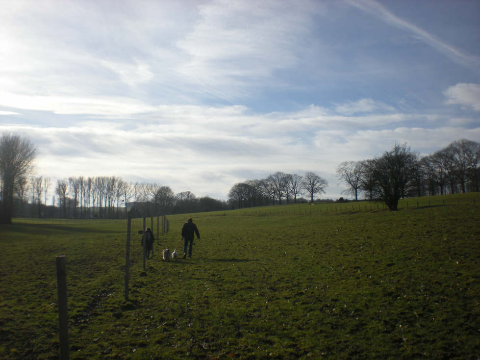 img20090126_2.jpg