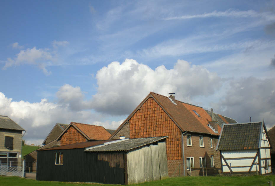 img20081029_5.jpg