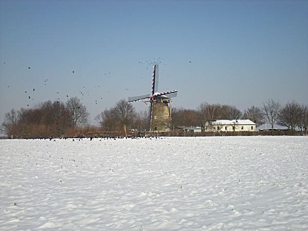 2-1 012