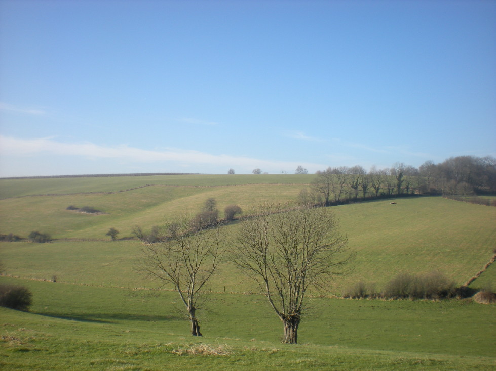 img20090131_4.jpg