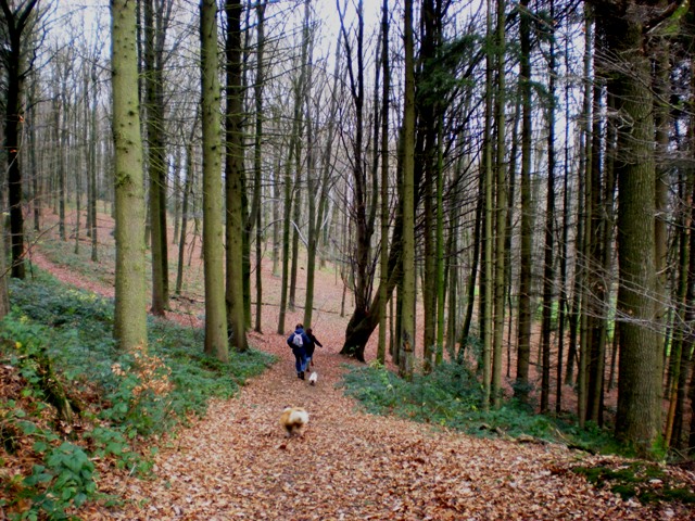 img20091130_8.jpg