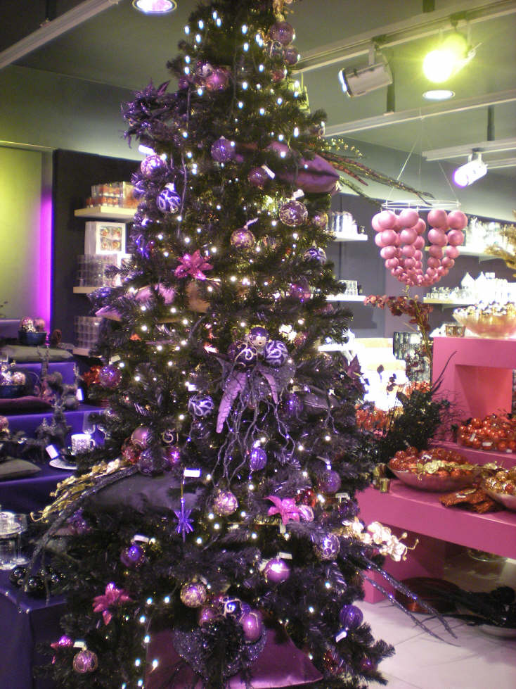 img20081101_2.jpg