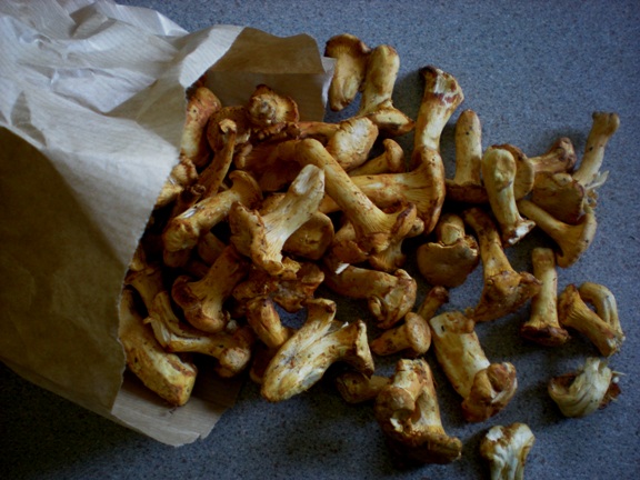img20090624_5.jpg