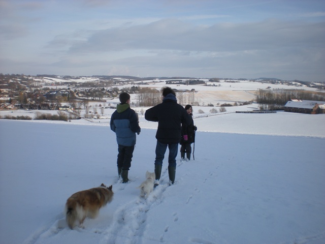 img20100201_9.jpg