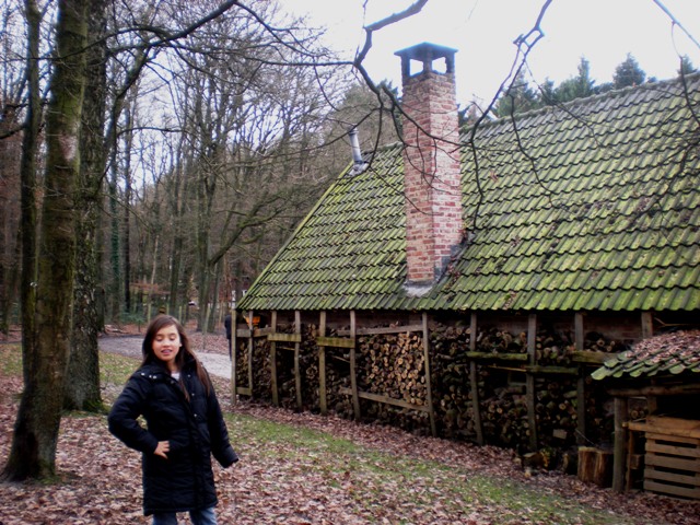 img20091130_2.jpg