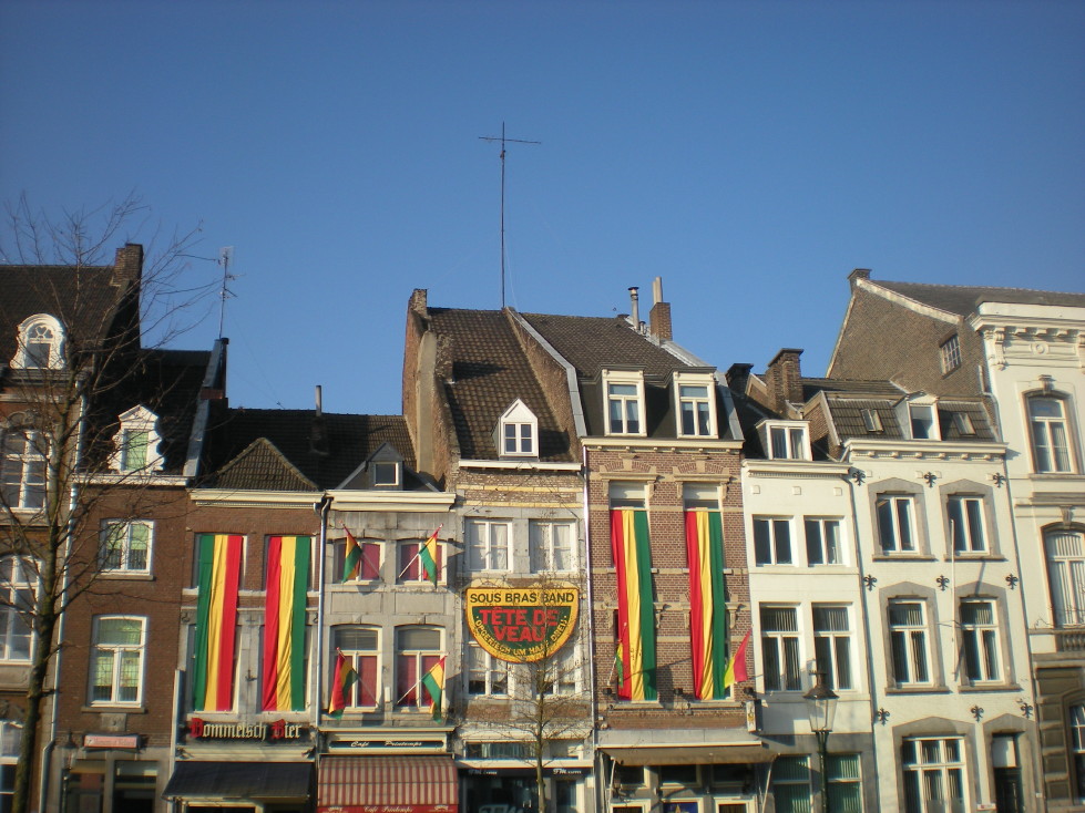 img20090130_1.jpg