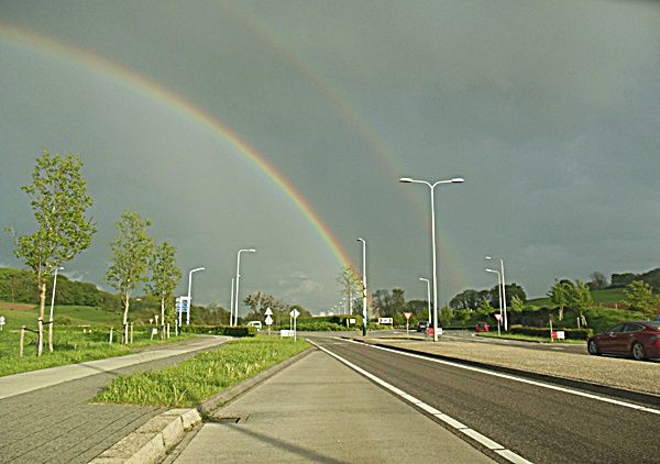 DSCN1441