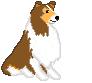 img20071101.gif