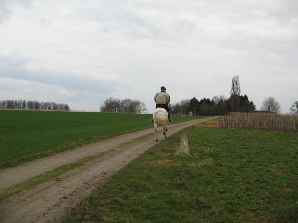 IMG_3183_4_1.jpg