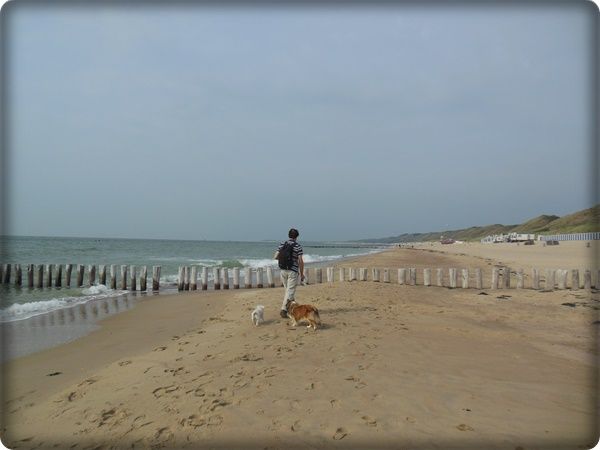 DSCN9981