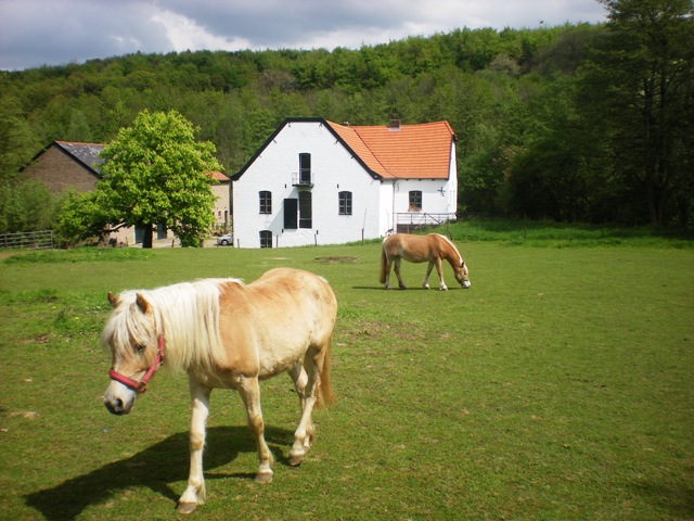 img20090429.jpg