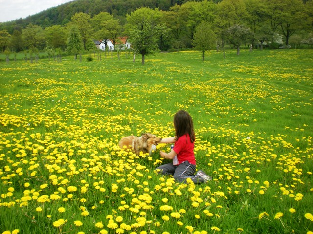 img20090429_4.jpg