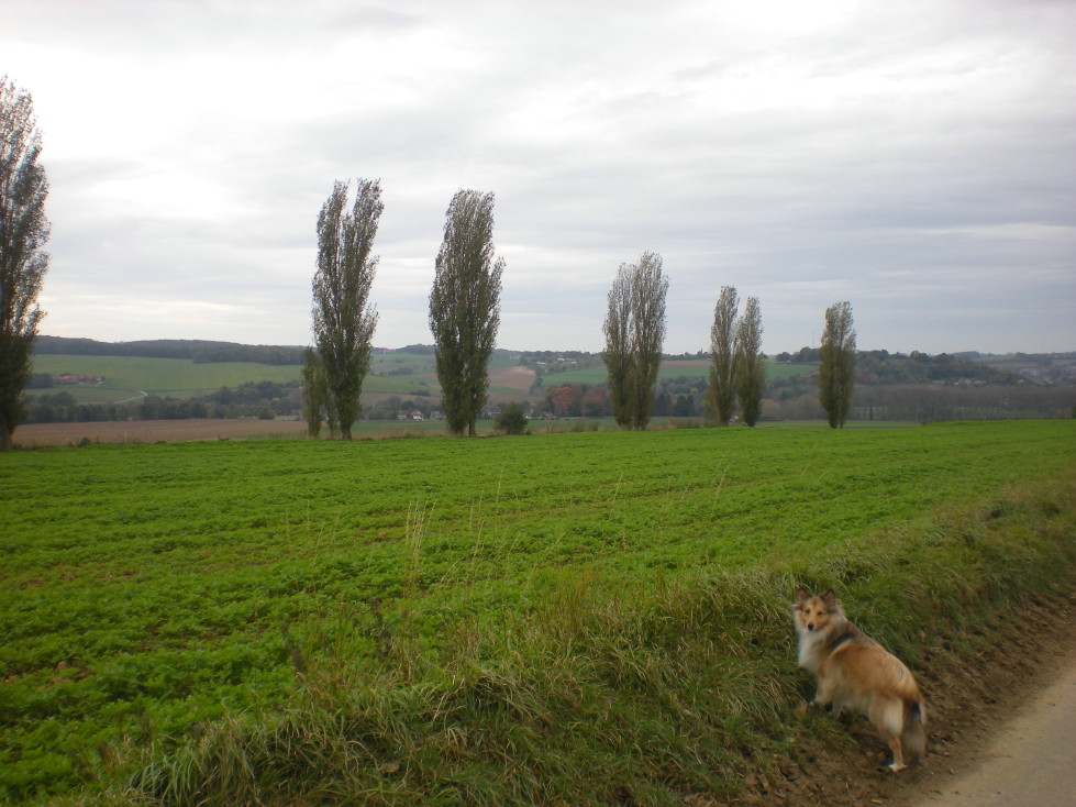 img20081026.jpg