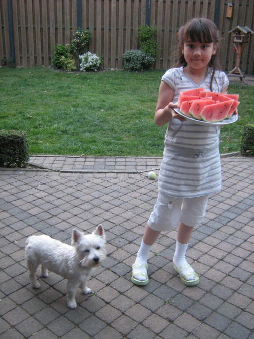 img_8751_1_1.jpg