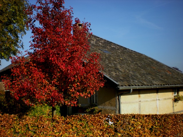 img20091031_4.jpg