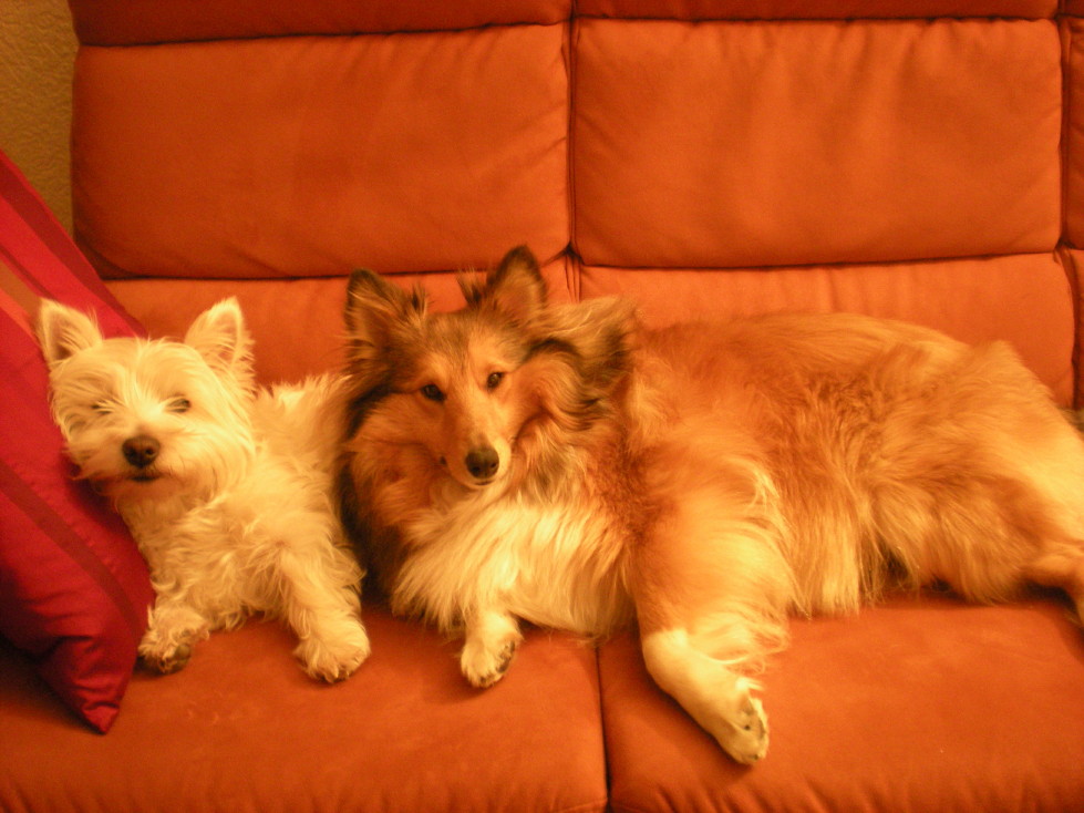 img20090126_10.jpg