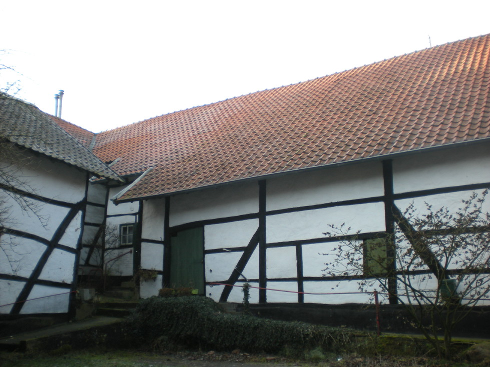 img20090127_3.jpg