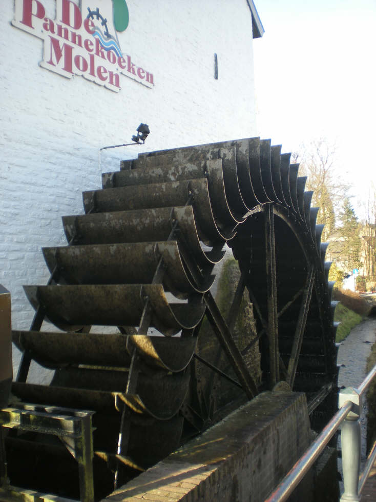 img20090126_3.jpg