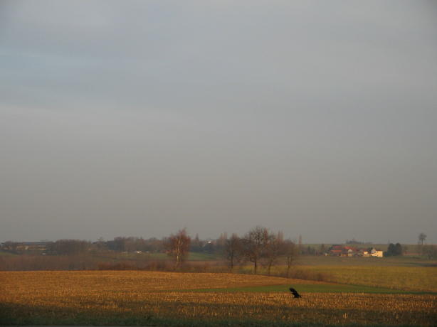 IMG_2095_2_1.jpg