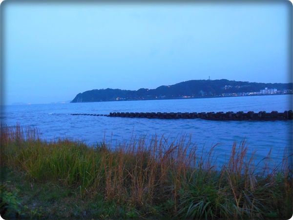 DSCN0492