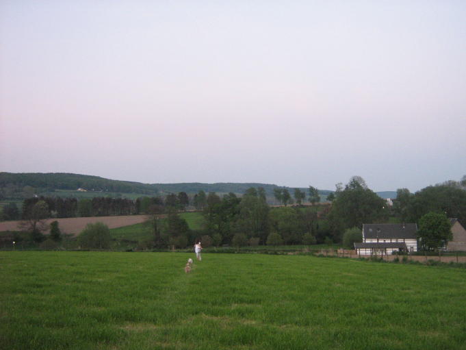 img_8785_9_1.jpg