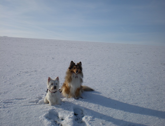 img20100201_2.jpg