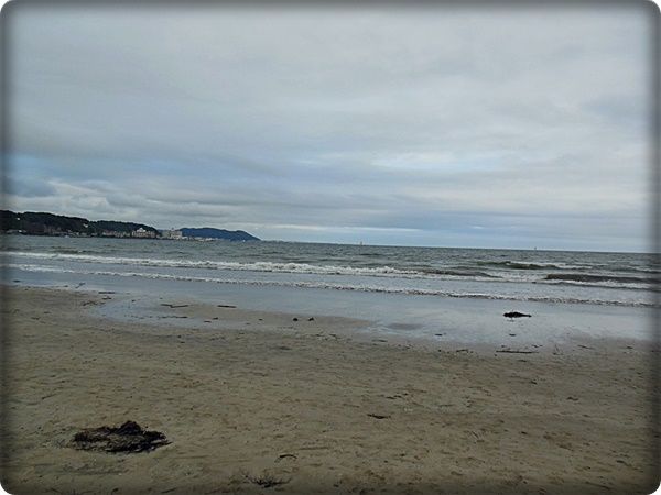 DSCN9799