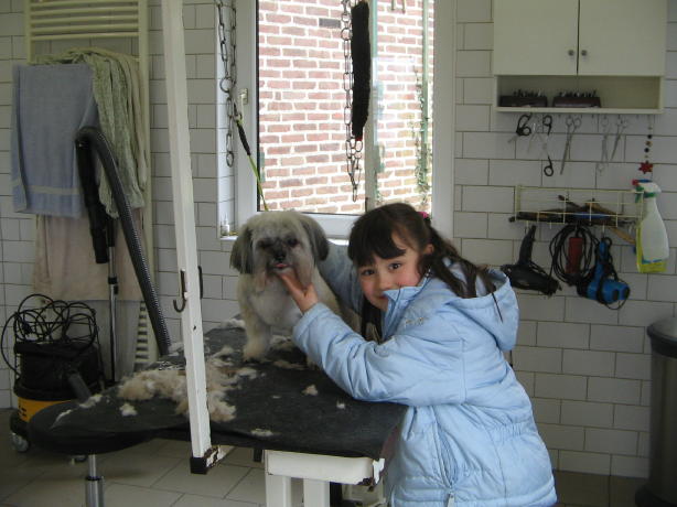 IMG_3177_2_1.jpg