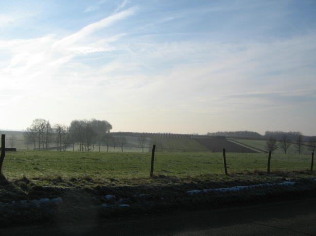 IMG_2033_2_1.jpg