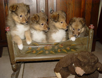 img20061201.jpg