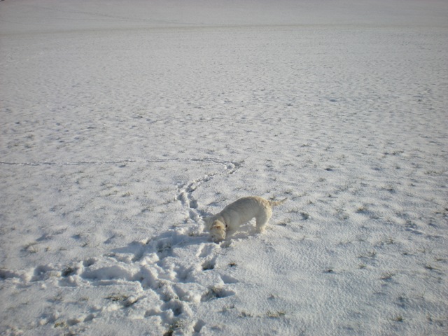 img20100201_10.jpg