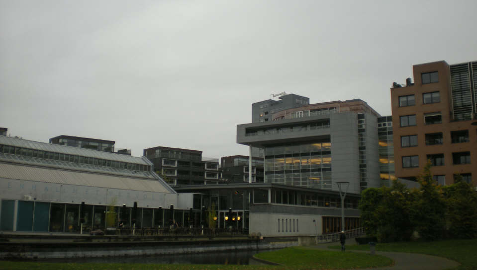 img20081027.jpg