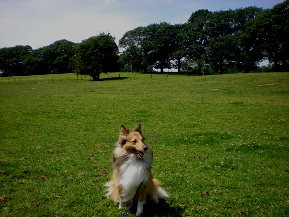 img20090626_1.jpg