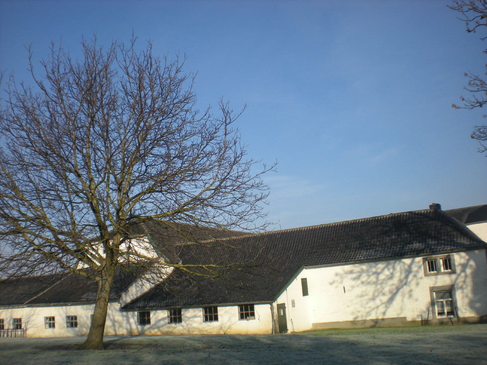 img20090129.jpg