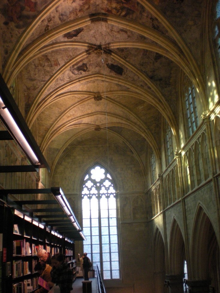 img20090129_6.jpg