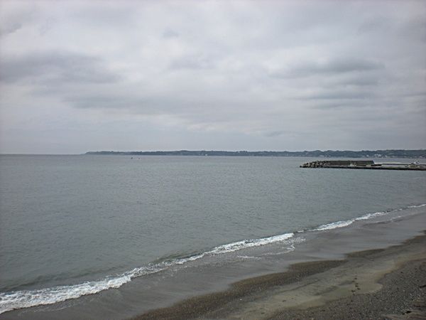 5-6 002