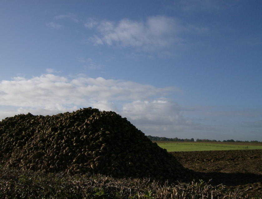 hpim1139_1_1.jpg