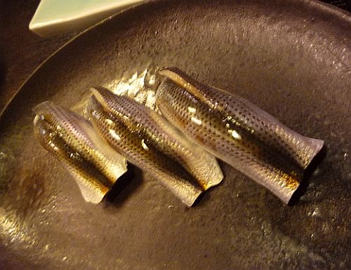img20081230_1.jpg