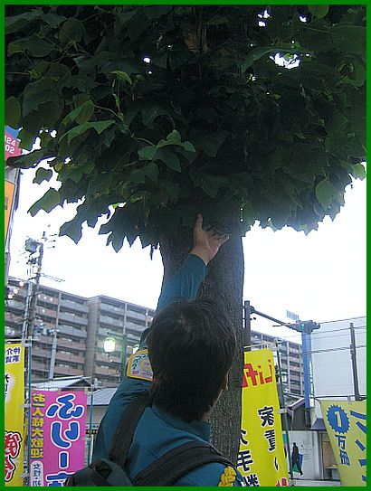img20050722_1.jpg