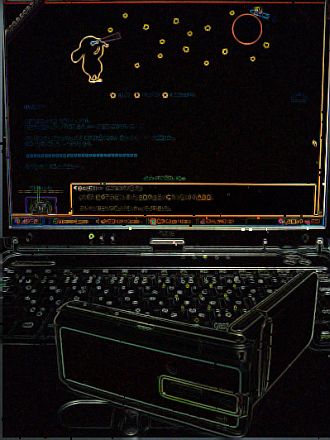 330.jpg