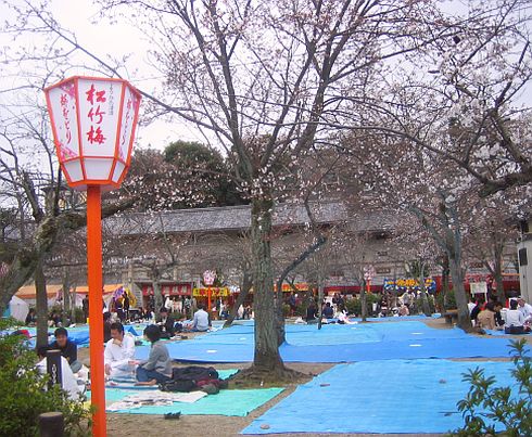 ohanami.jpg