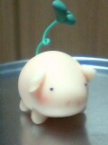 pig.jpg